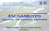 ESCOAMENTO Superficial – Sub-Superficial - Subterrâneo Mestranda: Maria Isabel Mota Carneiro UFCG / CTRN / PPGECA / AERH DISCIPLINA: HIDROLOGIA APLICADA.