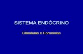SISTEMA ENDÓCRINO Glândulas e Hormônios. Características Gerais O sistema endócrino é bastante complexo Os hormônios: - secreção produzida pelas glândulas.