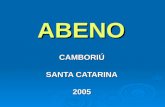 ABENO CAMBORIÚ SANTA CATARINA 2005. A CAPES E A POLÍTICA PARA OS CURSOS DE PÓS-GRADUAÇÃO EM ODONTOLOGIA PROF. DR. NEY SOARES DE ARAÚJO REPRESENTANTE DA.