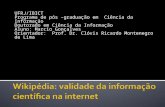 UFRJ/IBICT Programa de pós –graduação em Ciência da Informação Doutorado em Ciência da Informação Aluno: Marcio Gonçalves Orientador: Prof. Dr. Clóvis.