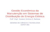 Gestão Econômica da Manutenção em Sistemas de Distribuição de Energia Elétrica Profº. Engº. Gustavo Vinícius D. Barbosa SEMANA DE CIÊNCIA E TECNOLOGIA.