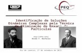 PEQ/COPPE/UFRJ Bruno F. Oechsler Rio de Janeiro, 27 de setembro de 2012. Identificação de Soluções Dinâmicas Complexas pela Técnica de Otimização do Enxame.