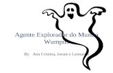 Agente Explorador do Mundo Wumpus By Ana Cristina, Ioram e Leonardo.