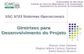 Diretrizes para Desenvolvimento do Projeto Universidade de São Paulo Instituto de Ciências Matemáticas e de Computação Departamento de Sistemas de Computação.