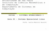 1 Universidade de São Paulo Instituto de Ciências Matemáticas e de Computação Departamento de Sistemas de Computação SSC541 - SISTEMAS OPERACIONAIS I Aula.