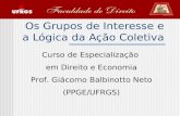 Os Grupos de Interesse e a Lógica da Ação Coletiva Curso de Especialização em Direito e Economia Prof. Giácomo Balbinotto Neto (PPGE/UFRGS)