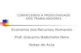 CONHECENDO A PRODUTIVIDADE DOS TRABALHADORES Economia dos Recursos Humanos Prof. Giácomo Balbinotto Neto Notas de Aula.