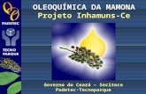 OLEOQUÍMICA DA MAMONA Projeto Inhamuns-Ce Governo do Ceará – Secitece Padetec-Tecnoparque.