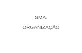 SMA : ORGANIZAÇÃO. Noção intuitiva de organização [Hubner 03] Exemplos: –Uma mesa de trabalho –Um formigueiro –Uma célula –Um time de futebol Perguntas:
