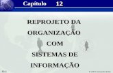 12.1 © 2007 Eduardo Brião 12 REPROJETO DA ORGANIZAÇÃOCOM SISTEMAS DE INFORMAÇÃO Capítulo.