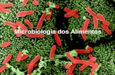 Microbiologia dos Alimentos. Alimentos meio de crescimento para microrganismos - deterioração - disseminação de infecções - intoxicações - produção de.