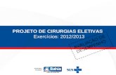 PROJETO DE CIRURGIAS ELETIVAS Exercícios: 2012/2013 AVALIAÇÃO DE DESEMPENHO.