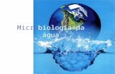 Microbiologia da água. Ciclo hidrológico Introdução No meio aquático os nutrientes estão diluídos. baixa diversidade de microrganismos A presença de.