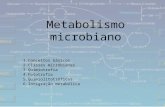 Metabolismo microbiano 1.Conceitos básicos 2.Classes microbianas 3.Quimiotrofia 4.Fototrofia 5.Quimiolitotróficos 6.Integração metabólica.