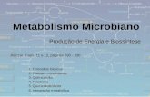 Metabolismo Microbiano 1.Conceitos básicos 2.Classes microbianas 3.Quimiotrofia 4.Fototrofia 5.Quimiolitotróficos 6.Integração metabólica Produção de Energia.