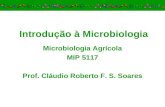 Introdução à Microbiologia Microbiologia Agrícola MIP 5117 Prof. Cláudio Roberto F. S. Soares.