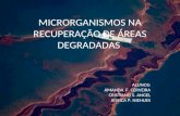 MICRORGANISMOS NA RECUPERAÇÃO DE ÁREAS DEGRADADAS ALUNOS: AMANDA F. CERVEIRA CRISTIANO S. ANGEL JESSICA P. NIEHUES.