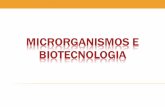 Microrganismos como elementos-chave em processos biotecnológicos Microbiologia industrial = otimização de certas reações para produção de compostos de.