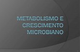 1. Introdução Metabolismo: toda a atividade química realizada por um organismo toda a atividade química realizada por um organismo São de 2 tipos: aquelas.