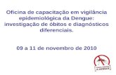 Oficina de capacitação em vigilância epidemiológica da Dengue: investigação de óbitos e diagnósticos diferenciais. 09 a 11 de novembro de 2010.