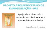 Igreja viva, chamada a assumir, no discipulado, a comunhão e a missão Arquidiocese de Mariana.
