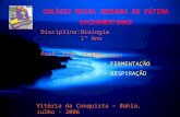 COLÉGIO NOSSA SENHORA DE FÁTIMA SACRAMENTINAS FERMENTAÇÃO RESPIRAÇÃO Disciplina:Biologia 1º Ano Prof. Ivan Santos Vitória da Conquista – Bahia, Julho -