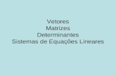 Vetores Matrizes Determinantes Sistemas de Equações Lineares.