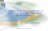 XI Seminário Nacional de Petróleo e Gás Natural no Brasil: Desafios e Oportunidades Jose Armando Taddei Brasília, 25 de maio de 2010.