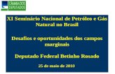 XI Seminário Nacional de Petróleo e Gás Natural no Brasil Desafios e oportunidades dos campos marginais Deputado Federal Betinho Rosado 25 de maio de 2010.