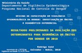 Rodrigo Said Salvador - Bahia, 2010 Departamento de Vigilância Epidemiológica Programa Nacional de Controle da Dengue RESULTADOS PRELIMINARES DA AVALIAÇÃO.