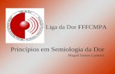 Princípios em Semiologia da Dor Magali Santos Lumertz Liga da Dor FFFCMPA.