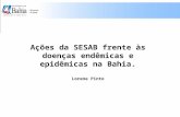 Ações da SESAB frente às doenças endêmicas e epidêmicas na Bahia. Lorene Pinto.