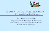 ELEMENTOS DE MICROBIOLOGIA Perigos Microbiológicos Rosa Helena Luchese, PhD Departamento de Tecnologia de Alimentos Universidade Federal Rural do Rio de.