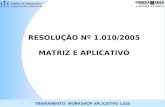 TREINAMENTO: WORKSHOP APLICATIVO 1.010 RESOLUÇÃO Nº 1.010/2005 MATRIZ E APLICATIVO.