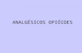 ANALGÉSICOS OPIÓIDES. Terminologia : Opióide refere-se aos compostos relacionados ao Ópio (termo grego para suco) da Papaver somniferum, como a morfina,