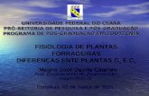 FISIOLOGIA DE PLANTAS FORRAGEIRAS DIFERENÇAS ENTE PLANTAS C 3 E C 4 UNIVERSIDADE FEDERAL DO CEARÁ PRÓ-REITORIA DE PESQUISA E PÓS-GRADUAÇÃO PROGRAMA DE.
