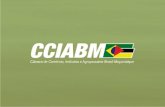 Quem somos? Câmara de Comércio, Indústria e Agropecuária Brasil-Moçambique; Associação sem fins lucrativos; Fundação em março de 2008; Embaixador de Moçambique.