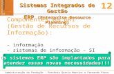 Administração da Produção - Petrônio Garcia Martins e Fernando Piero Laugeni – Editora Saraiva 12 Sistemas Integrados de Gestão ERP (Enterprise Resource.