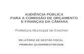 AUDIÊNCIA PÚBLICA PARA A COMISSÃO DE ORÇAMENTO E FINANÇAS DA CÂMARA Prefeitura Municipal de Erechim RELATÓRIO DE GESTÃO FISCAL PRIMEIRO QUADRIMESTRE/2008.