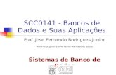 SCC0141 - Bancos de Dados e Suas Aplicações Prof. Jose Fernando Rodrigues Junior Material original: Elaine Parros Machado de Sousa Sistemas de Banco de.