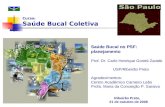 Saúde Bucal no PSF: planejamento Prof. Dr. Carlo Henrique Goretti Zanetti USP/Ribeirão Preto Agradecimentos: Centro Acadêmico Carneiro Leão Profa. Maria.