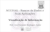 SCC0141 - Bancos de Dados e Suas Aplicações Visualização de Informação Prof. Jose Fernando Rodrigues Junior.