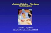 Claudia L. Epelman Hospital Santa Marcelina/TUCCA Cuidados Paliativos Abordagem Multidisciplinar.