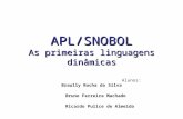 APL/SNOBOL As primeiras linguagens dinâmicas Alunos: Braully Rocha da Silva Bruno Ferreira Machado Ricardo Pulice de Almeida.
