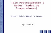 Tele-Processamento e Redes (Redes de Computadores) Prof. Fábio Moreira Costa Capítulo 2.