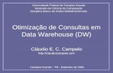 Otimização de Consultas em Data Warehouse (DW) Cláudio E. C. Campelo  Universidade Federal de Campina Grande Mestrado em Ciência.