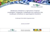 Mudanças Climáticas e Agricultura Tropical: modelagem, mitigação e adaptação aos impactos das mudanças climáticas no agronegócio brasileiro Embrapa Informática.