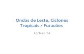 Ondas de Leste, Ciclones Tropicais / Furacµes Lecture 14