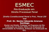 ESMEC Pós-Graduação em Direito Processual Penal Direito Constitucional Penal e Proc. Penal (30 h/a) Prof. Dr. Nestor Eduardo Araruna Santiago Doutor em.