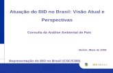 Atuação do BID no Brasil: Visão Atual e Perspectivas Belém, Maio de 2008 Consulta da Análise Ambiental de País Representação do BID no Brasil (CSC/CBR)